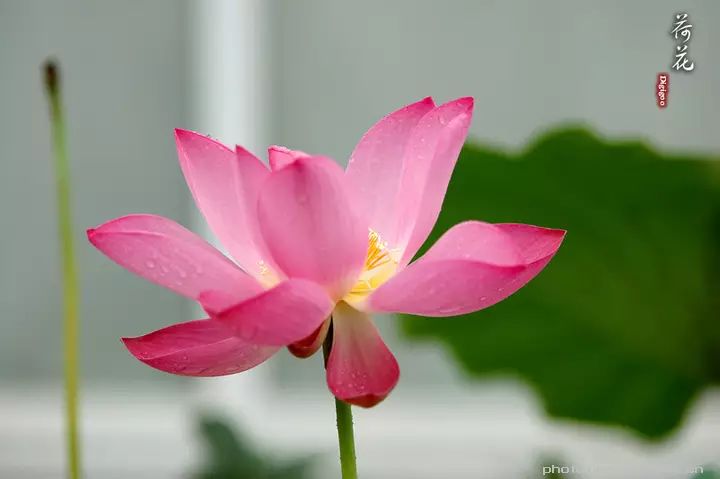 pg国际008国际官网