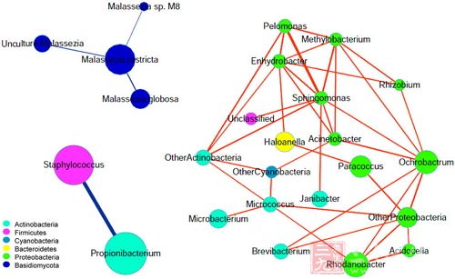 008pg国际版官网入口