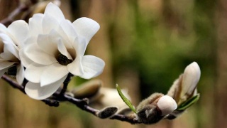 008pg国际版官网入口