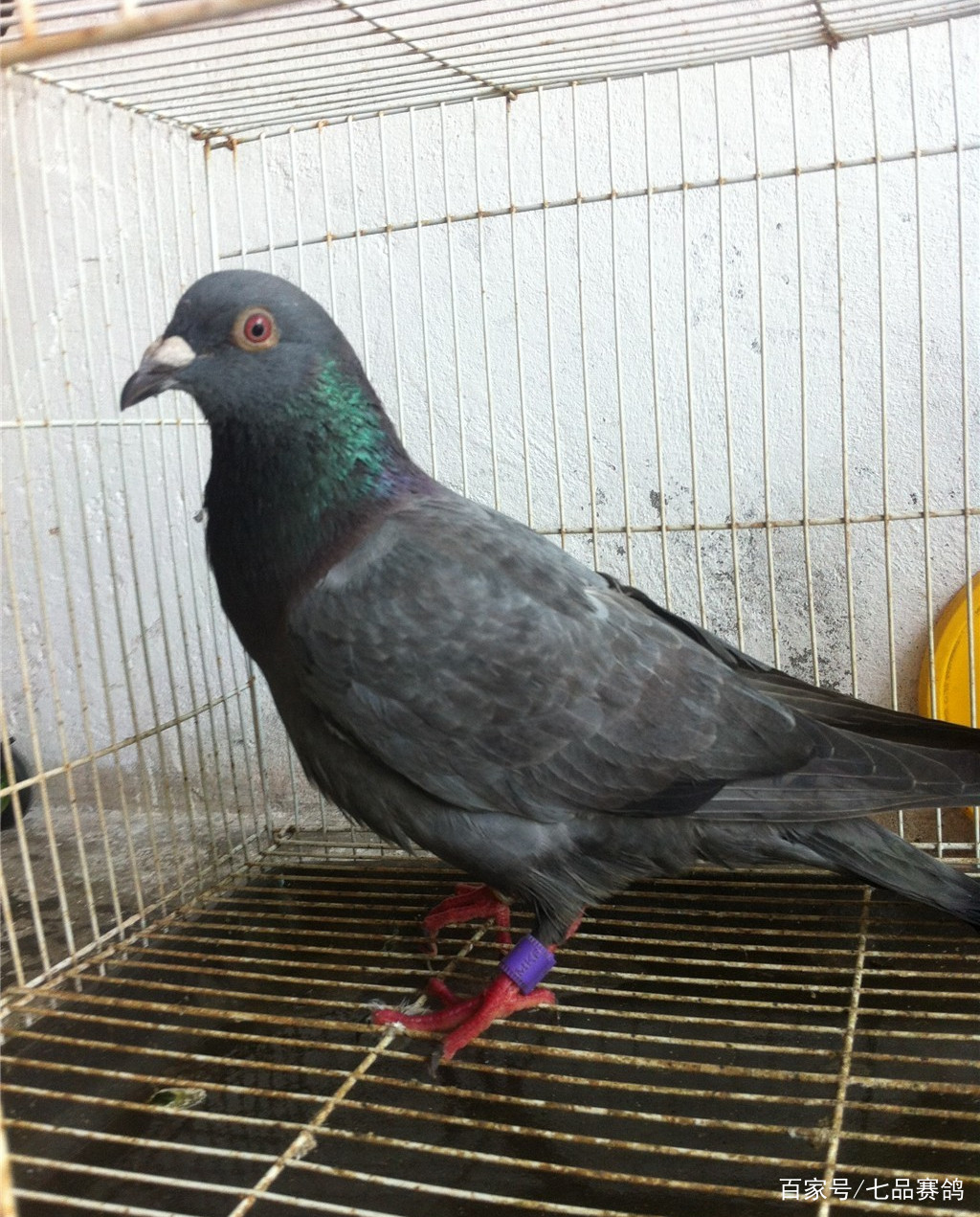 pg国际008国际官网