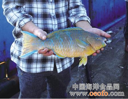 pg国际008国际官网